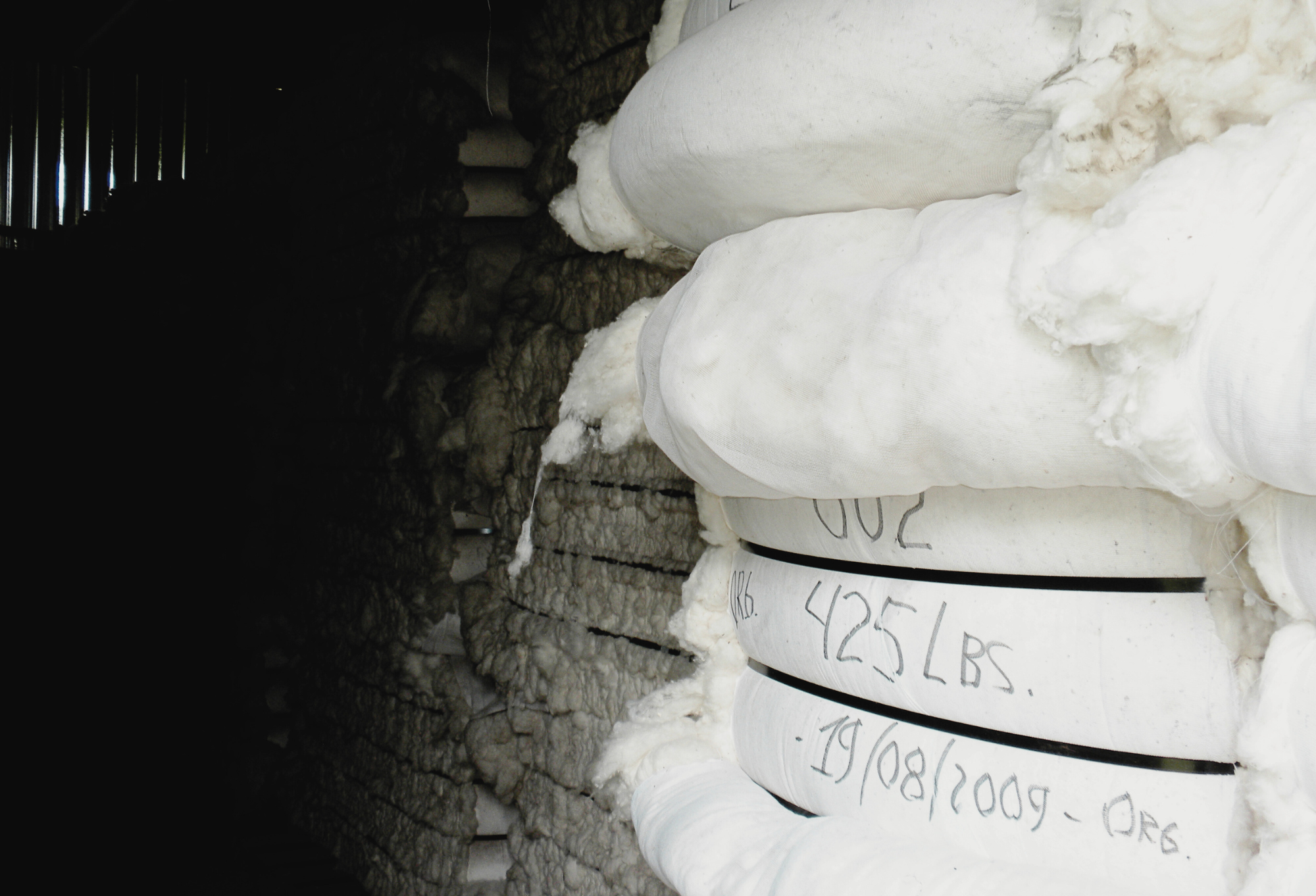 Organic cotton after ginning for Maggie's Organics socks