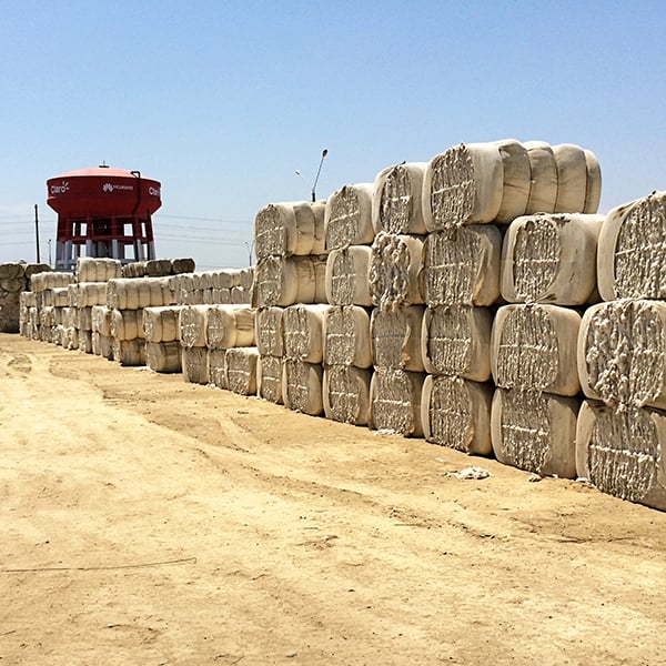 Fiber processing facility.