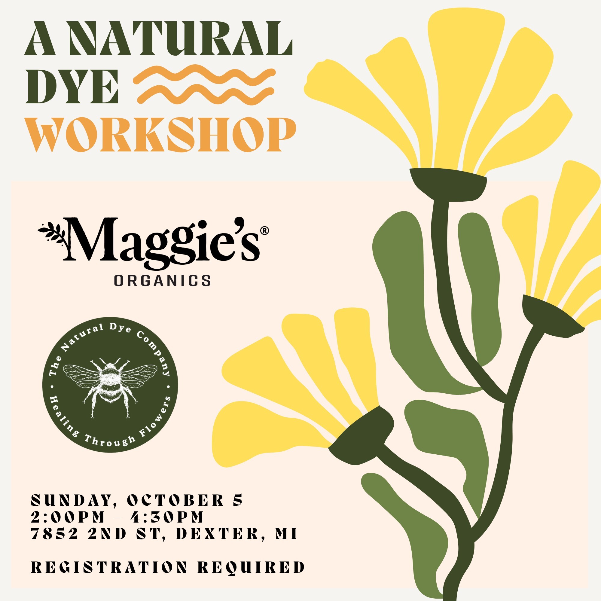 Image showing yellow flowers that reads "A Natural Dye Workshop Sunday, Ovtober 5 2:00-4:30 PM 7852 2nd St, Dexter, MI Registration Required" with the Maggie's Organics and Natural Dye Co. Logos